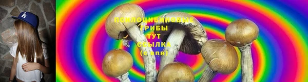 индика Алексеевка