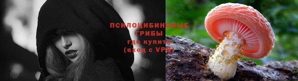 ПСИЛОЦИБИНОВЫЕ ГРИБЫ Абдулино